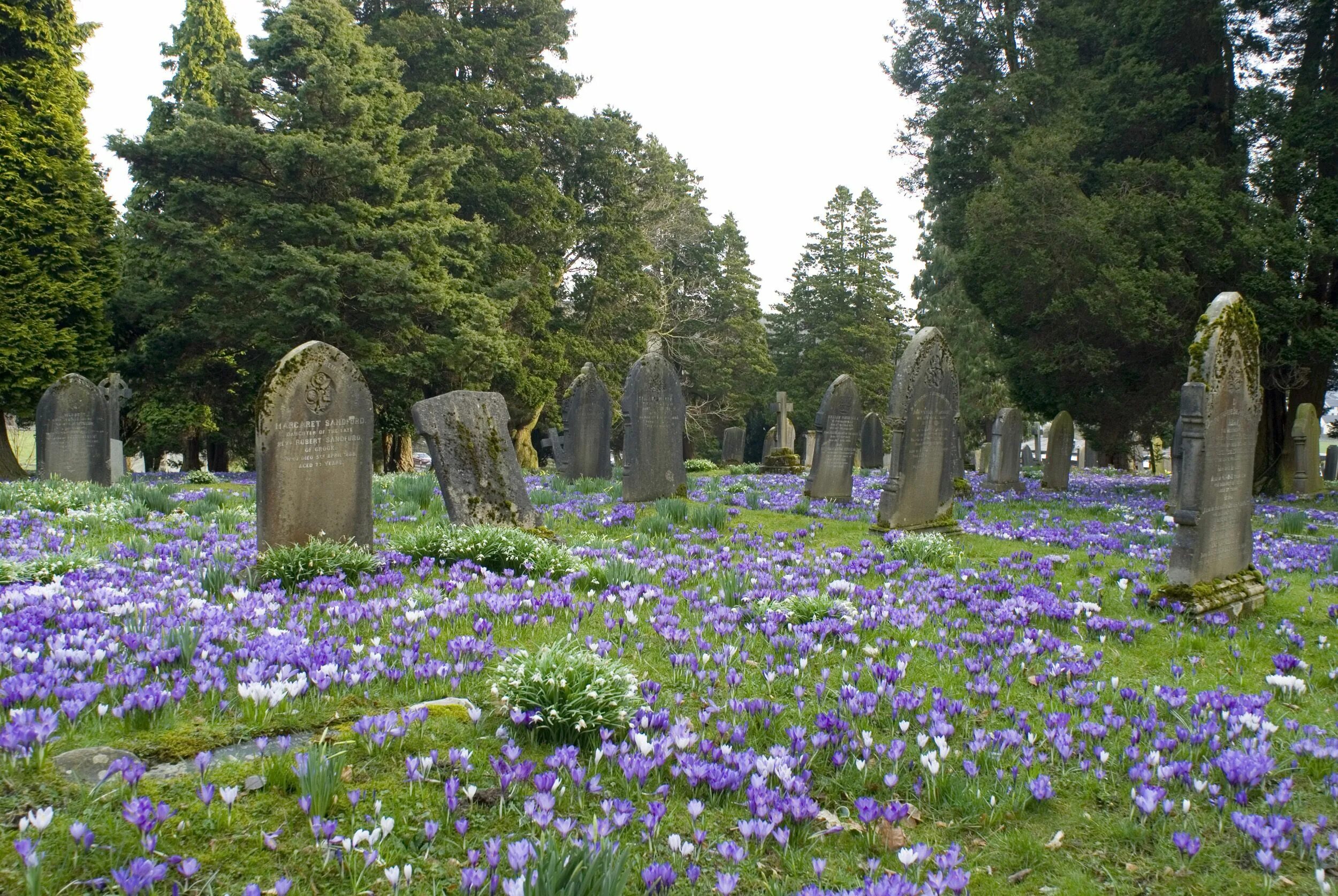 Meet you at graveyard