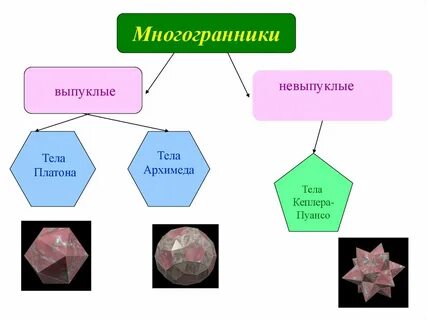 Перечислите правильные многогранники