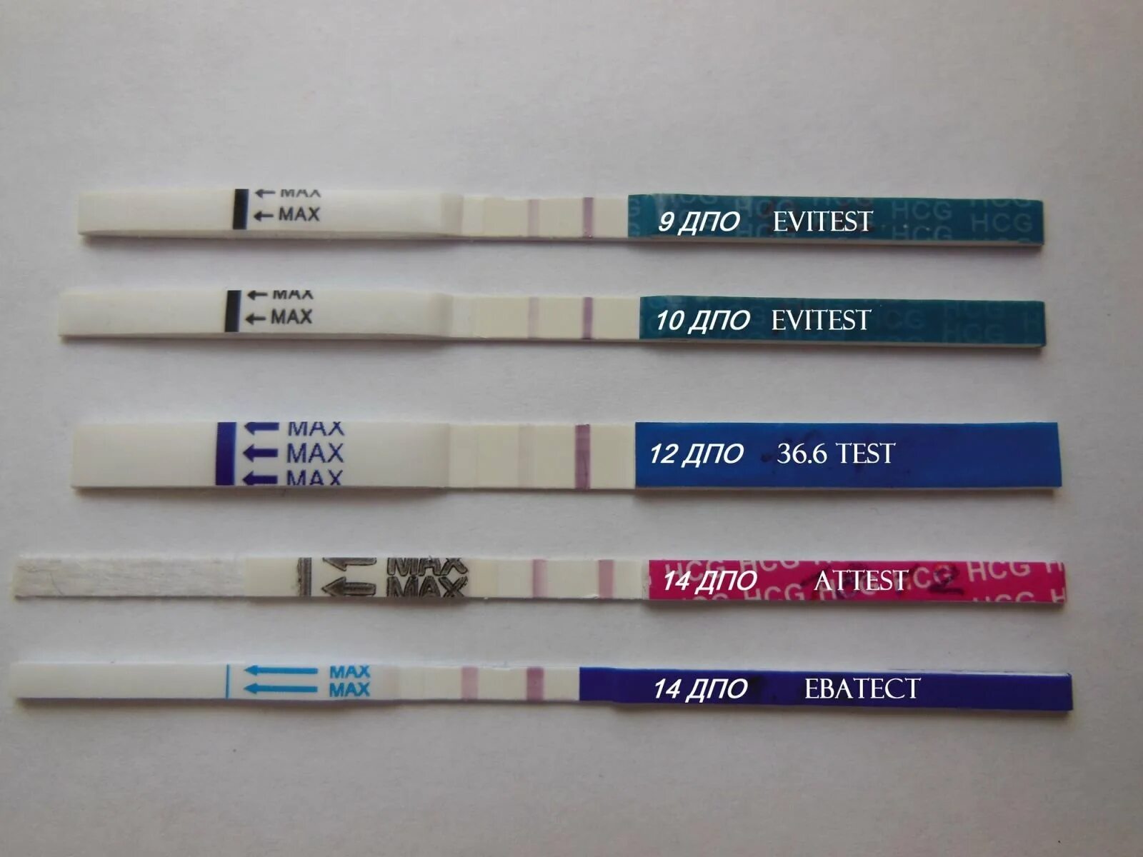 Дпо выделяется. Беременность на тесте. 9 дпо тест на беременность отрицательный. Коричневые после овуляции. Хгч на 18 день после овуляции.