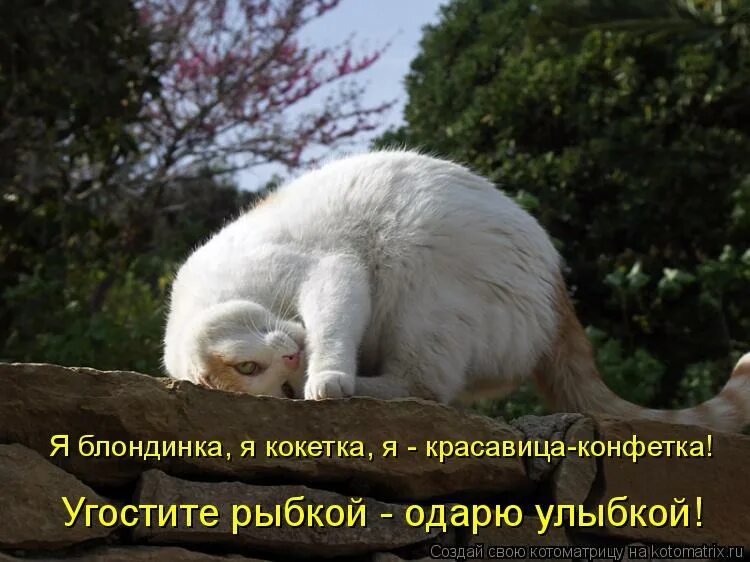 Форумы стесняешься