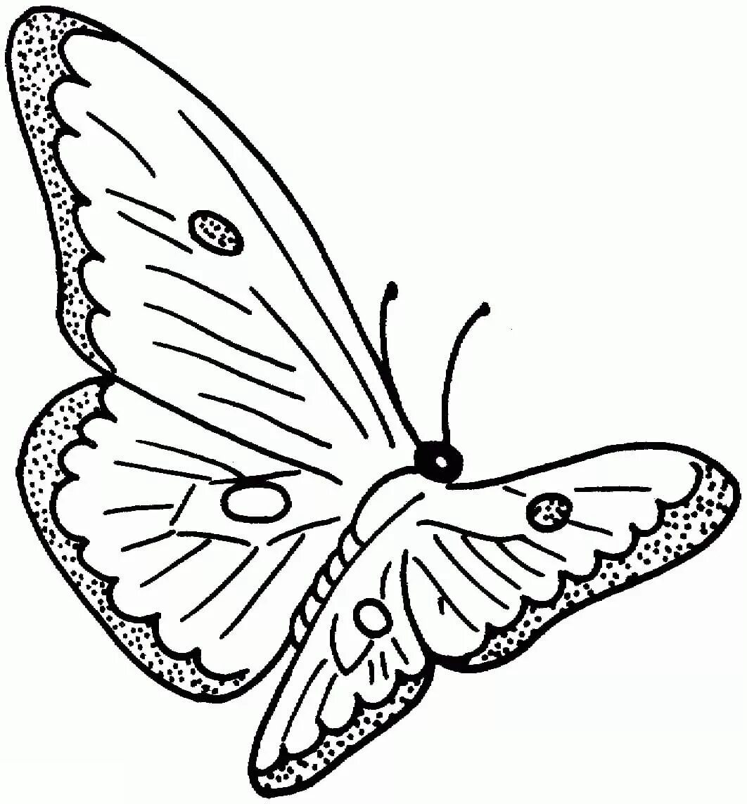 Бабочка раскраска для детей. Бабочка раскраска для малышей. Детская раскраска бабочка. Рисунок бабочки для раскрашивания.