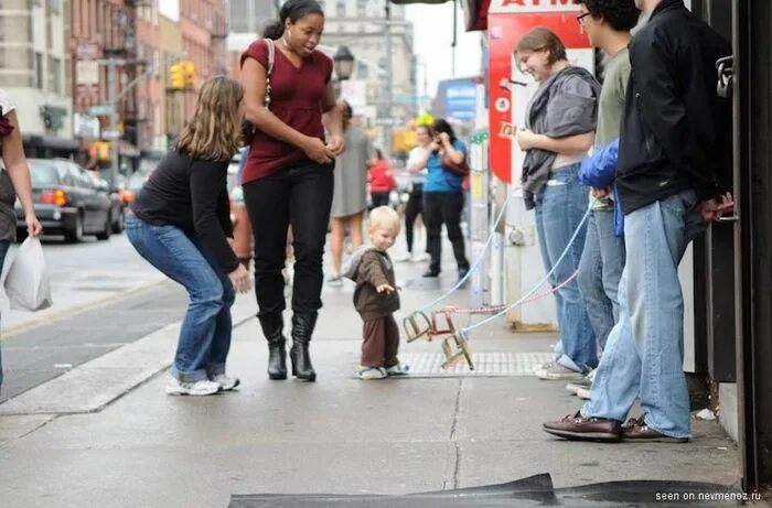 Флешмоб выгул невидимых собак. Кирпич на поводке. Невидимая собака. Невидимый пес. Невидимая собака.