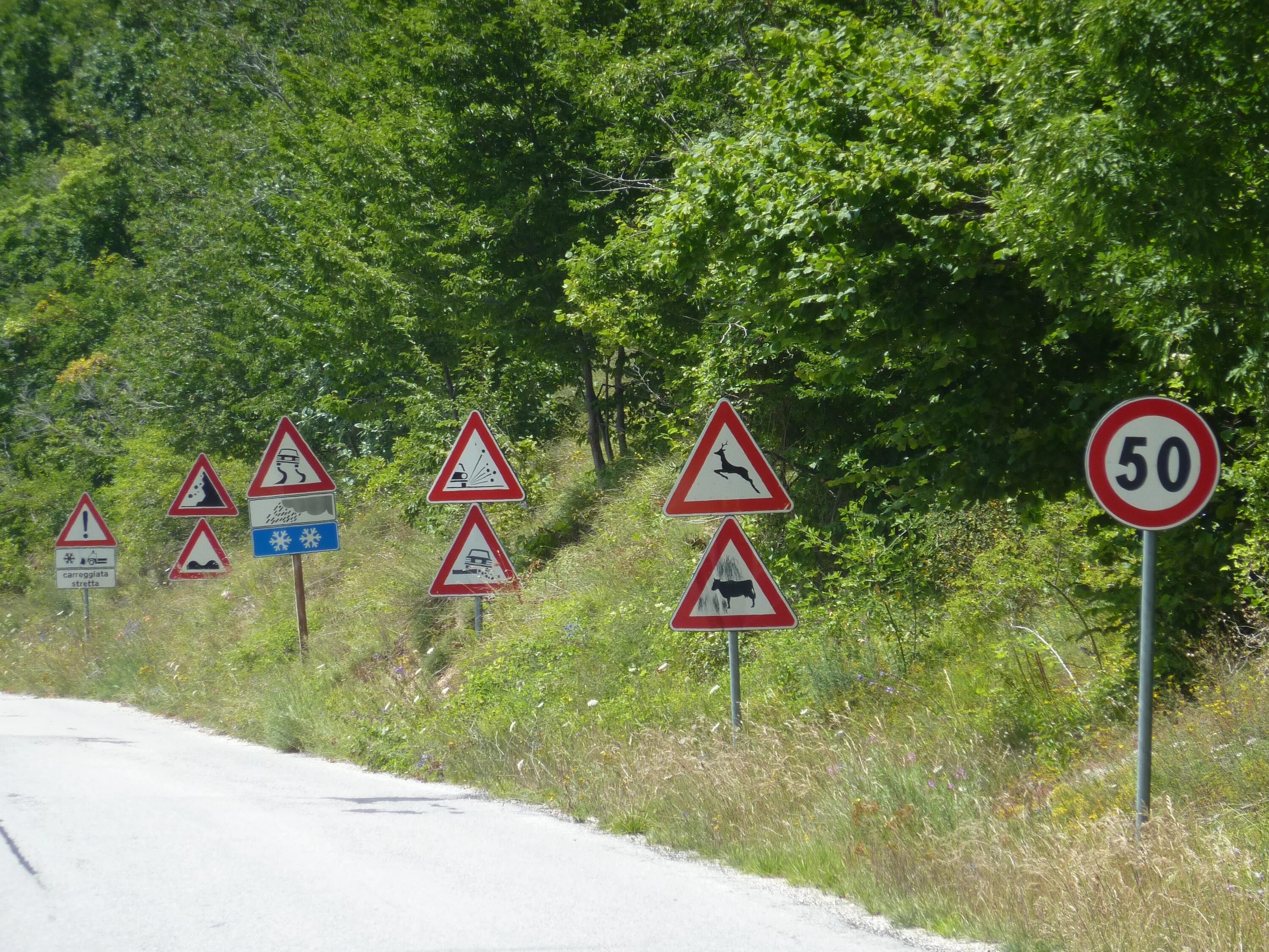 Дорожный знак со. Дорожные знаки. Знаки на дороге. Дорожные знаки на автодороге. Дорожные знаки в лесу.