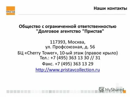 Контакты общество