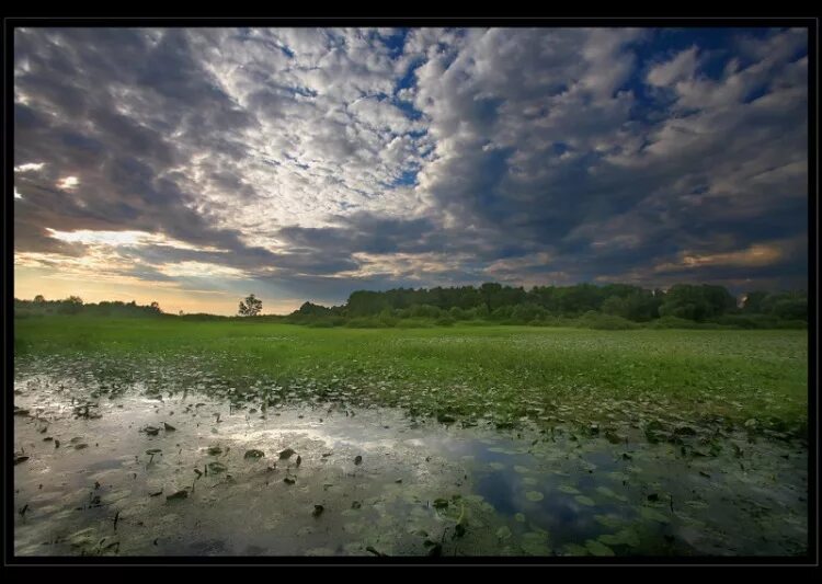 Белорусские иллюстрации. Уцякала зима ад вясны рисунок к стиху. Гурам д. Гурам д. Воблакі мары пра нязведанае.