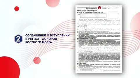 Регистр костного мозга