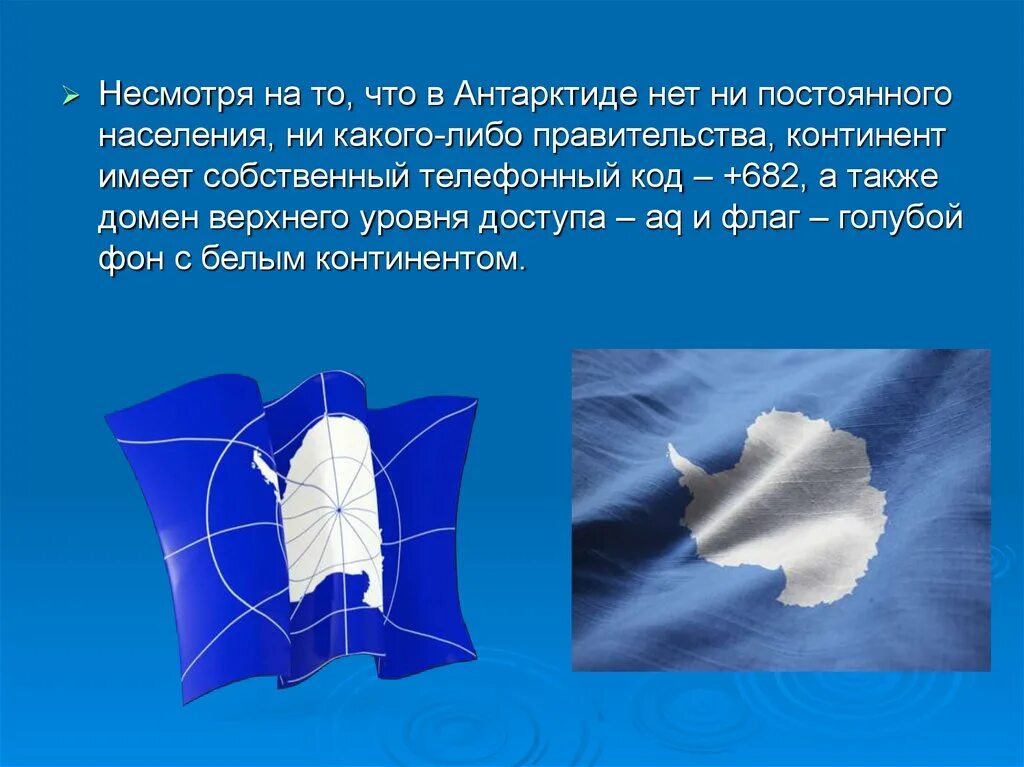 На каком материке нет постоянного населения ответ. Домен антарктиды. телефонный код антарктиды. флаг антарктиды. материк не имеющий постоянного населения.