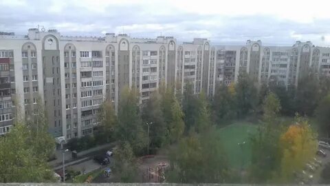 Девяткино сосново сегодня