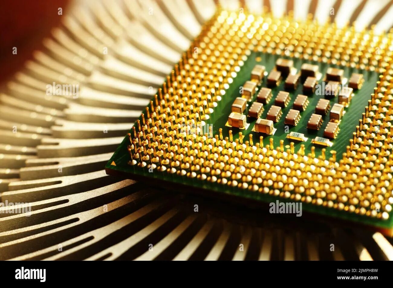 Фото центральный процес. Cpu chip. Микросхема процессора. Процессор скиф элвис. Процессор и микропроцессор.