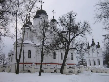 Большие вяземы 3042