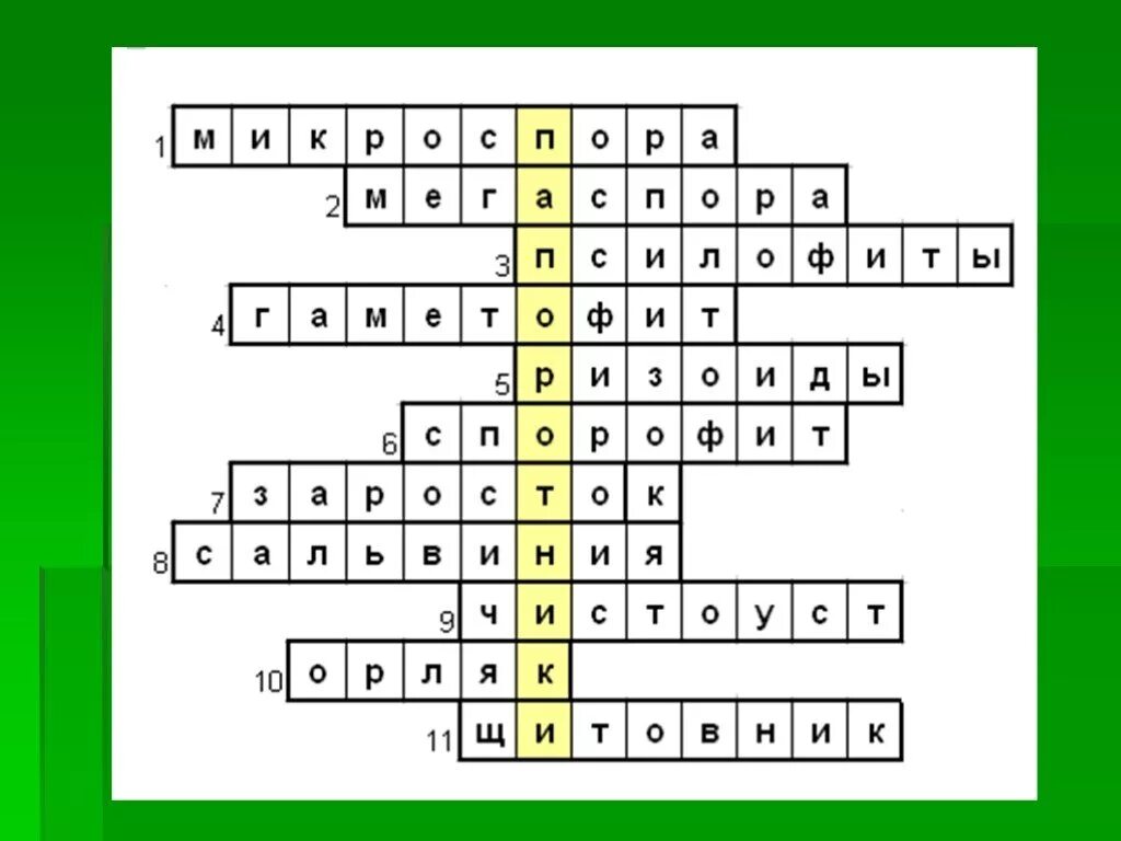 Кроссворд по споровым растениям 5 класс биология. Кроссворд на тему споровые растения. Кроссворд на тему высшие растения. Кроссворд на тему высшие споровые растения.