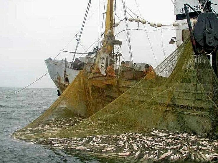 Азовское море промысел. Рыболовный траулер трал. Рыбный промысел в Азовском море. Траулер с тралом. Ловля суда