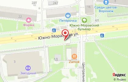 Конструкторов 33 воронеж