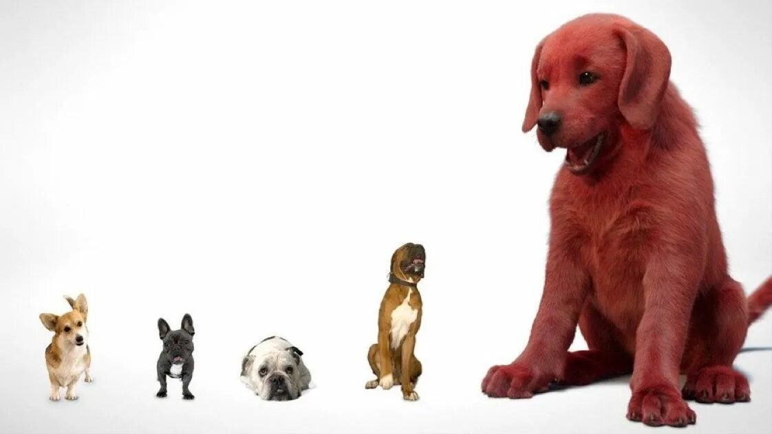 Клиффорд 2021 большой красный. Большой красный пёс Клифорд. Большой красный пёс Клиффорд / Clifford the big Red Dog (2021).
