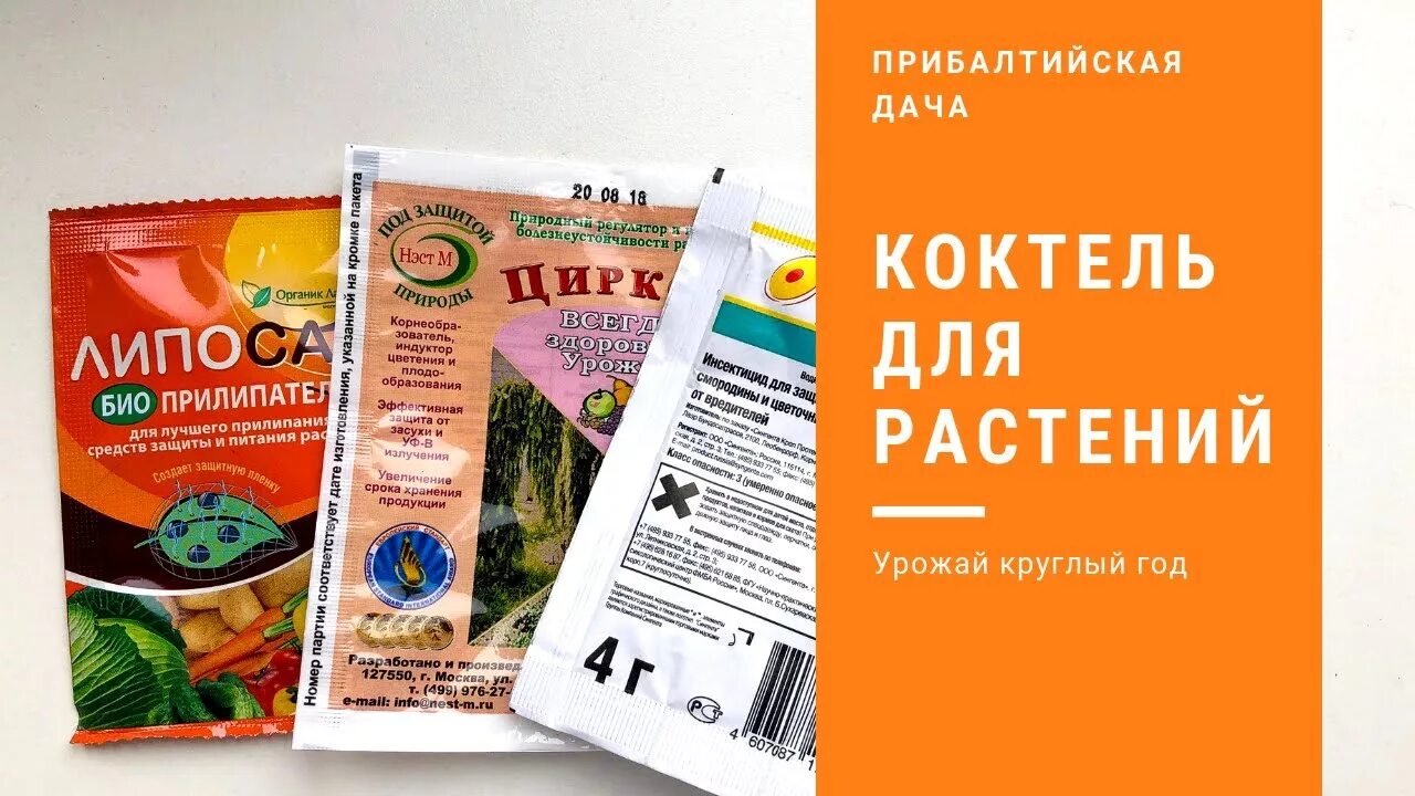 Баковая смесь для хвойных. Актара баковая смесь. Баковая смесь от болезней и вредителей. Баковые смеси для обработки растений. Баковые смеси для обработки сада от вредителей.