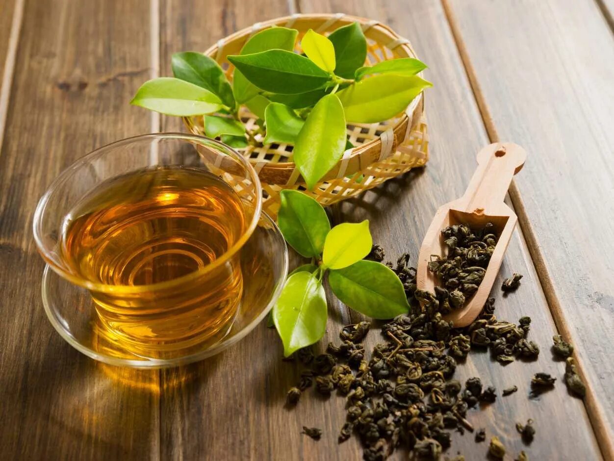 Польза заварки. Зеленый чай. Чайный лист. Листья чая. Зеленый чай листья.