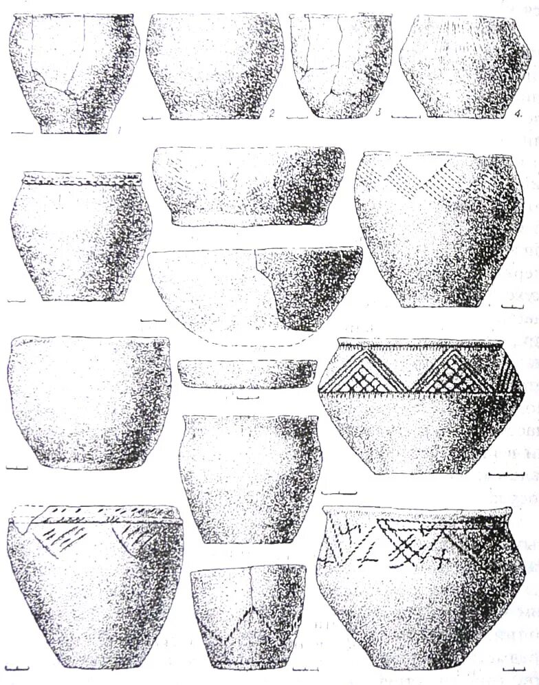 время существования срубной культуры. занятия срубной культуры. основные занятия срубной культуры. время существования срубной культуры. катакомбная культура бронзового века керамика.