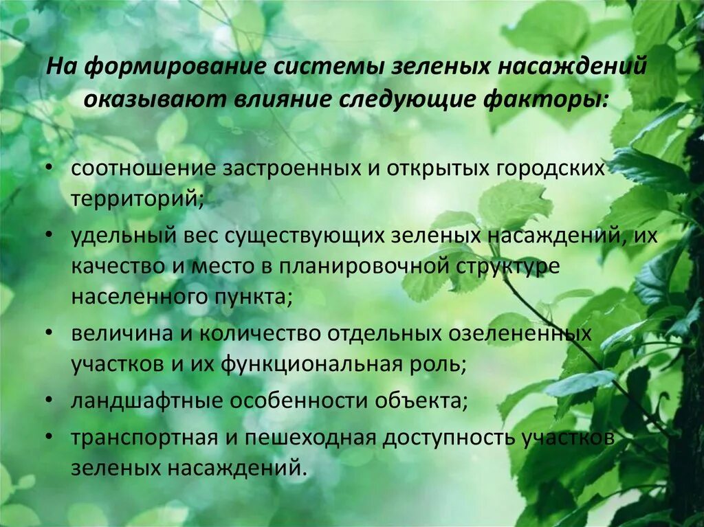 Композиции зеленых насаждений. Классификация зеленых насаждений. Нормы озеленения. Классификация зеленых насаждений в городах. Что значит зеленая зона