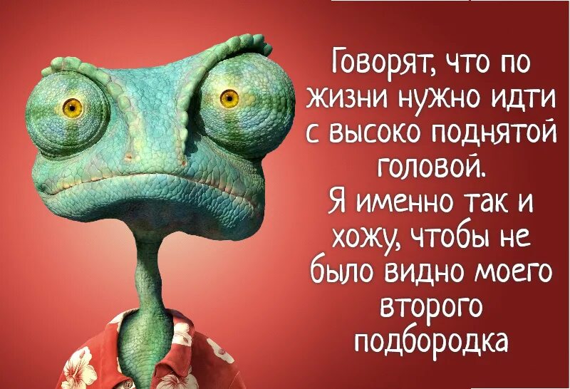 Нужно идти по головам. Идти по жизни с высоко поднятой головой. с юмором по жизни. юмор про внешность. живи с юмором по жизни.