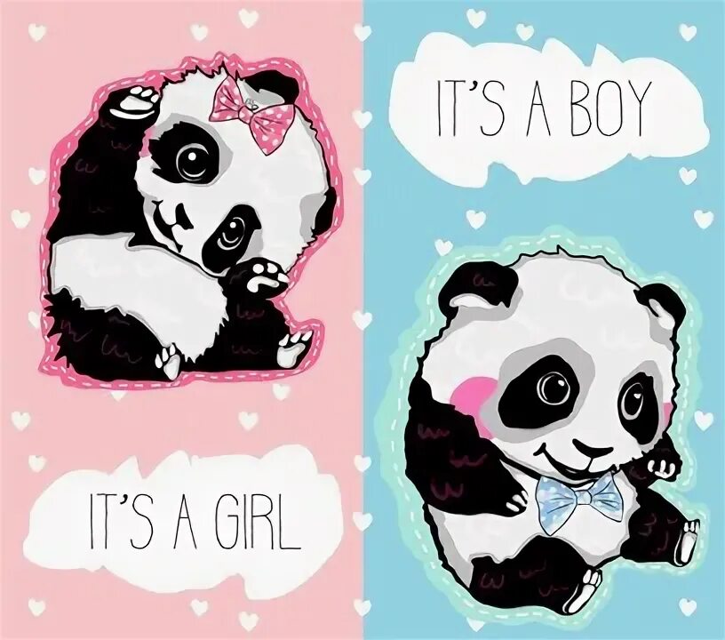 It is a panda. It is a panda