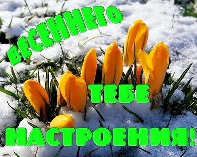 Последний день недели