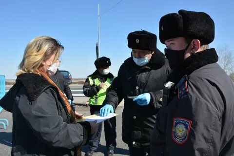 Организации петропавловска