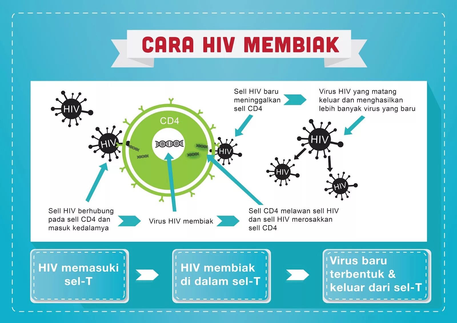 Спид ап на английском. HIV risk Factors. HIV шаблон для POWERPOINT. Airborne HIV. HIV glycop;roteid.