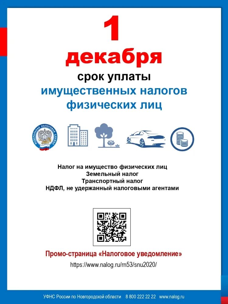 Сроки уплаты налогов 2020. 1 Декабря срок уплаты налогов. Декабря срок уплаты имущественных налогов. Срок уплаты имущественных налогов физических лиц. Срок уплаты имущественных налогов физлиц за 2021.