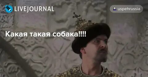 Не позволю про царя