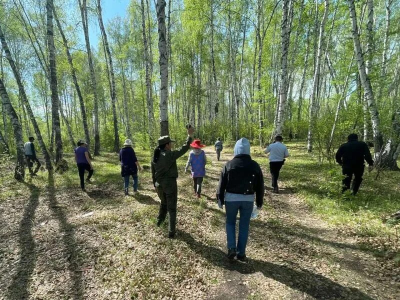 Погуляли 18. Пропавшие девочки в Туве. Тыва Сосновка Тандинский природа.