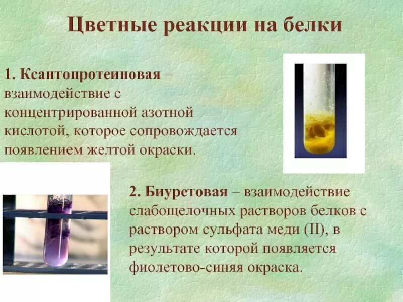 Цветные реакции белков ксантопротеиновая реакция вывод. Белки приобретают желтую окраску под действием. Окрашенное соединение азотистая кислота. Цветные реакции белков ксантопротеиновая реакция. Цветная реакция белка ксантопротеиновая реакция.
