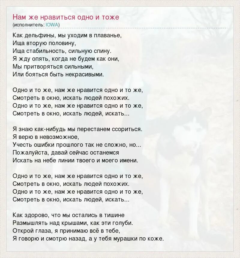 Слова песни айова. Запишу свое сердце на секцию плавания. айова дельфины аккорды.