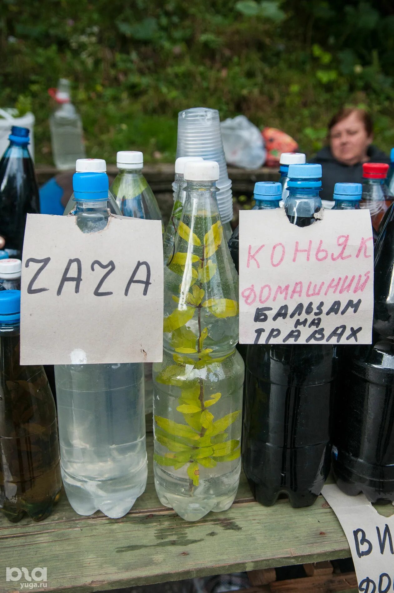 Можно ли в самолет чачу