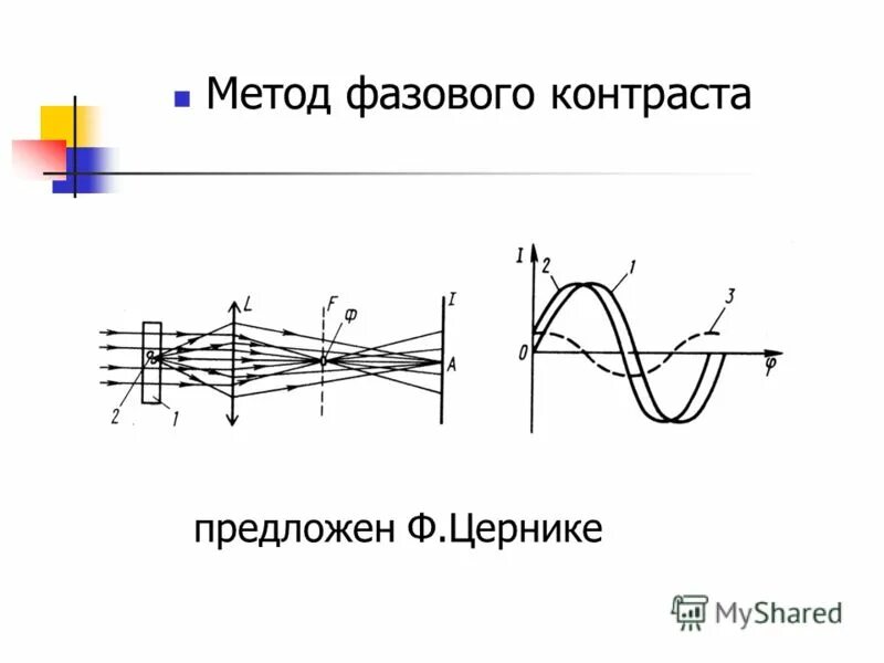 метод фазового контраста препараты. фазово-контрастная микроскопия принцип. метод фазового контраста. фазово-контрастная микроскопия разрешающая способность. объясните фазово-контрастный метод.
