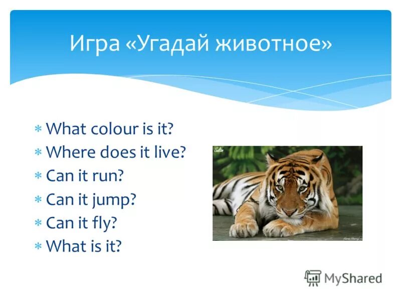 портфолио учителя английского. общие сведения об учителе. доклад учителя английском языке. профессиональные интересы учителя английского языка. Teacher презентация.