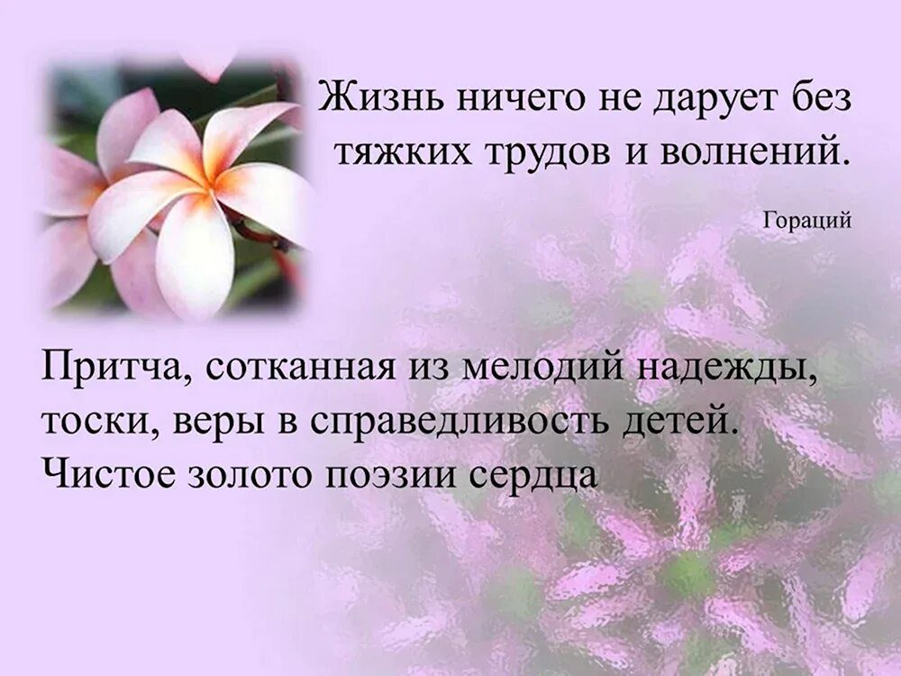 Сказка быль неизвестный цветок. Платонов а. "неизвестный цветок". Платонов презентация неизвестный цветок. Неизвестный цветок Платонов иллюстрации.