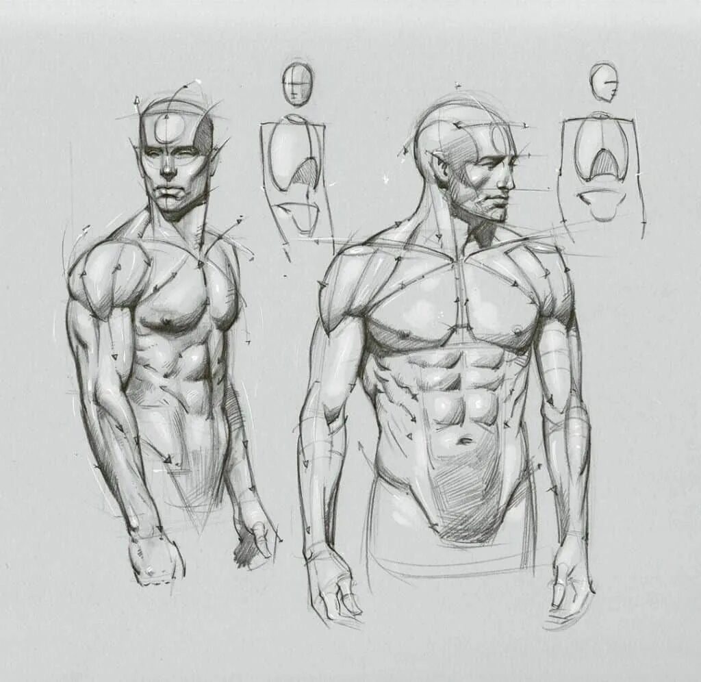 Ar draw sketch sketch paint. Мужская фигура сбоку референс. Тело спереди референс. Человек спереди референс. Мужская анатомия референсы.