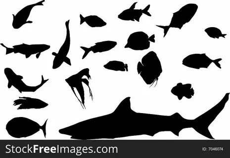 Different fish silhouettes Free Stock Photos - StockFreeImages 