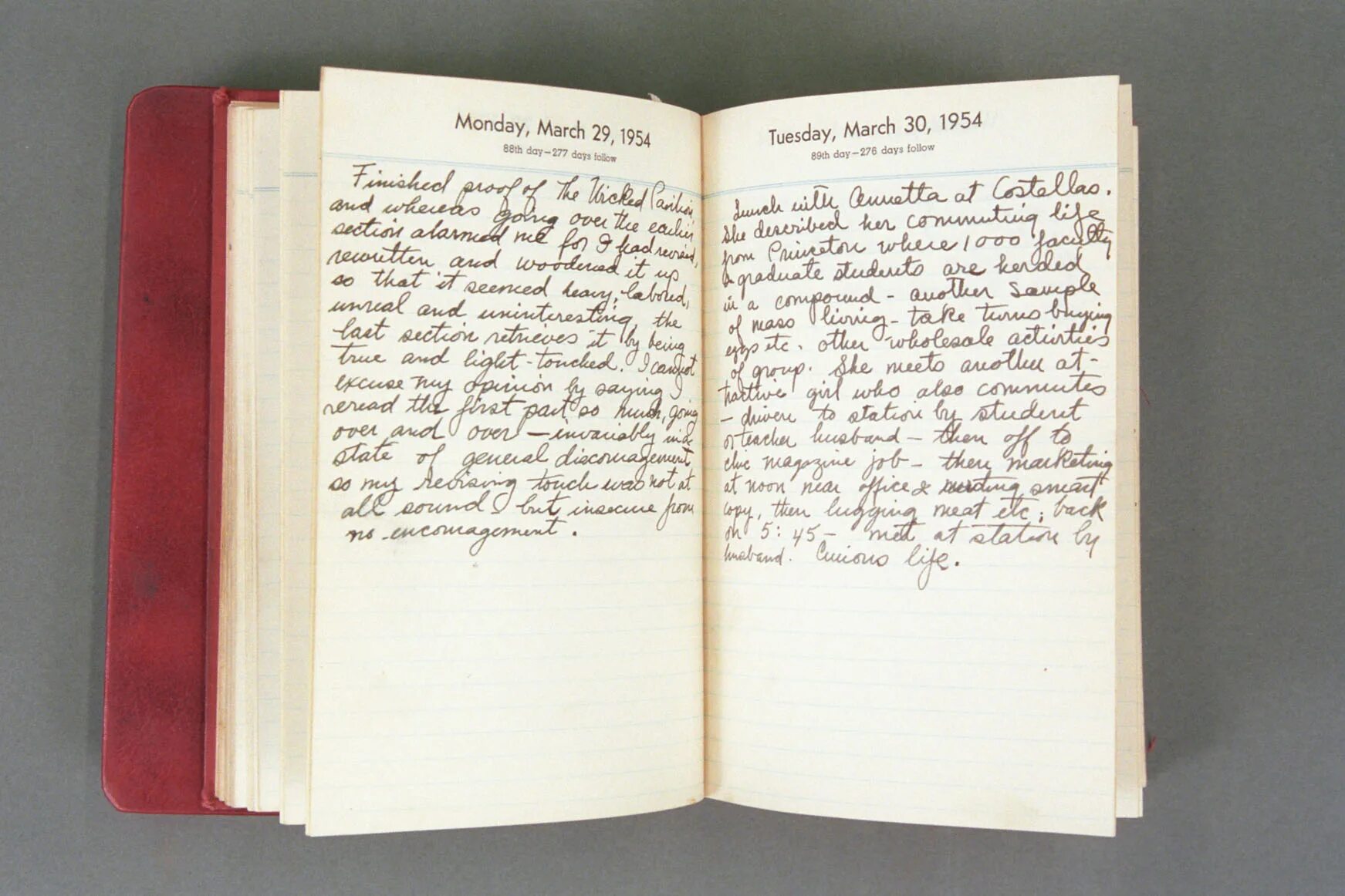 False diary. My diary. diary. my diary надпись. дайри н.г. книги.