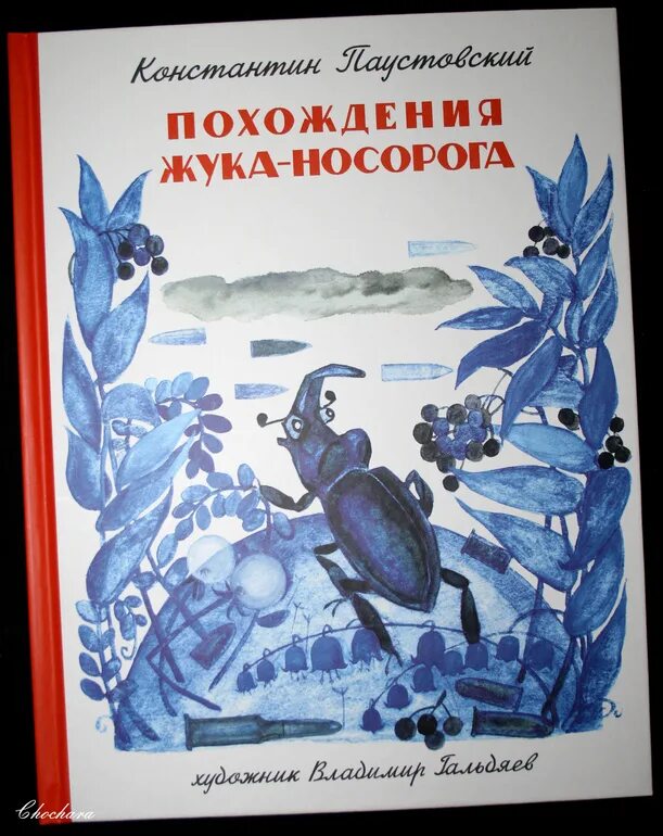 Паустовский похождения жука носорога. Похождения жука-носорога Паустовский иллюстрации. Книга Паустовский похождения жука носорога. Жук носорог Паустовский.