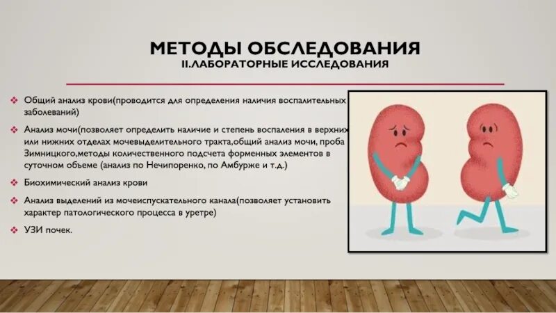 Болезнь почек диагноз. Исследование ферментов в диагностике заболеваний почек. Лабораторные методы обследования больных с заболеваниями почек.. Методы обследования больных с заболеваниями почек кратко. Методы обследования при заболеваниях мочевыделительной системы.