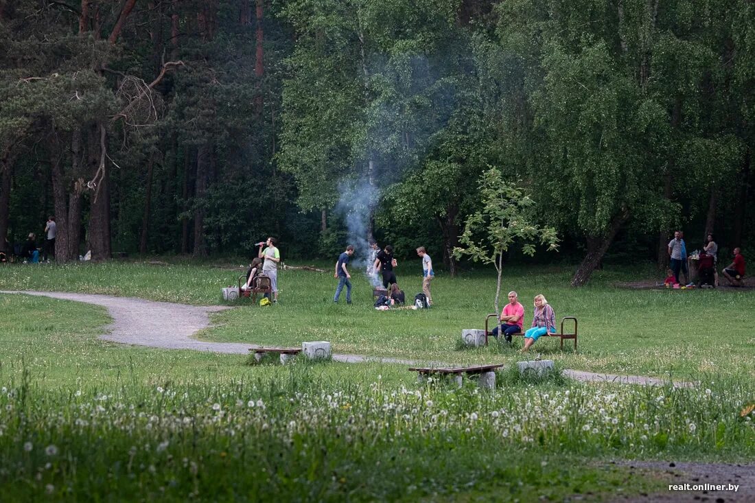 Можно ли жарить шашлык в парке. Лесопарк Степянка в Минске. Шуваловский парк шашлыки. Косинский парк шашлыки. Шашлыки в парках.