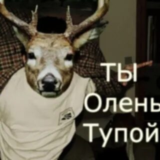 Ак 47 ты олень