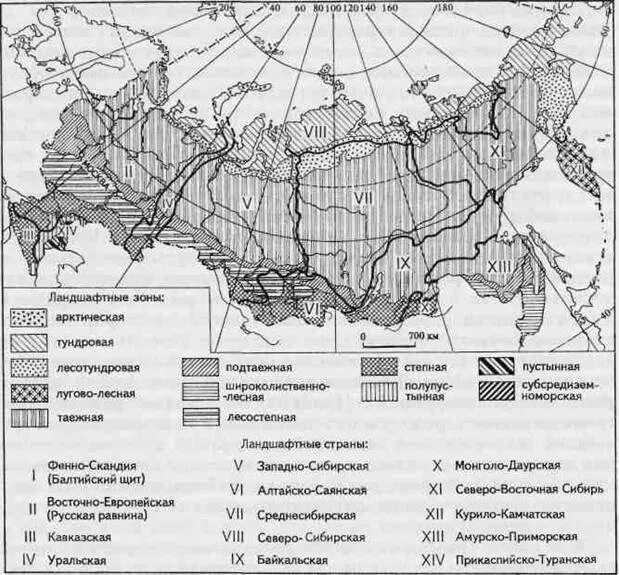 Физико географическое районирование России контурная карта. Физико-географические районы России на контурной карте. Карта физико-географического районирования России. Физико-географическое районирование СССР С областями карта.