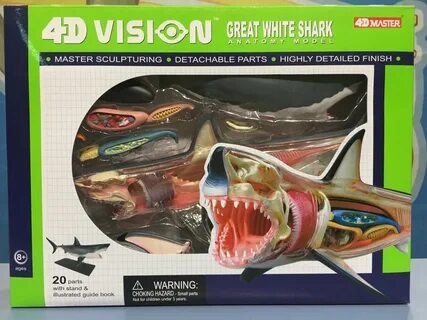 4d master