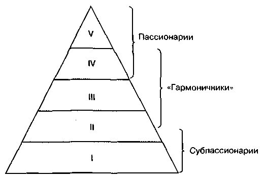 Пассионарий это простыми словами. Пассионарность теория Гумилева. Гумилев пассионарность. Лев Гумилев теория пассионарности. Пассионарность и субпассионарность.