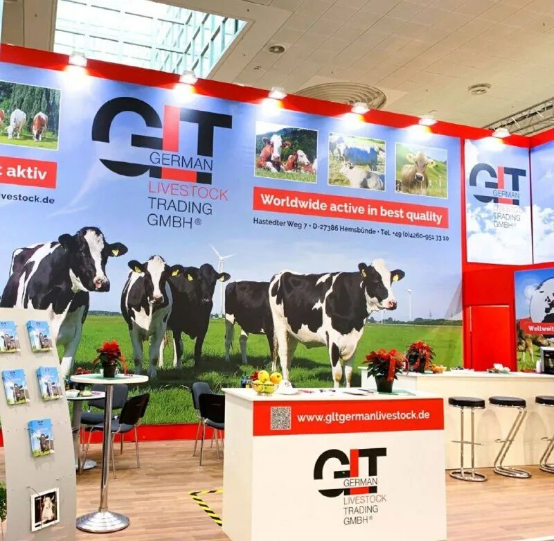 Trading gmbh. Trading gmbh. Knv logistik gmbh. Amb fashion trading gmbh. Trading gmbh.