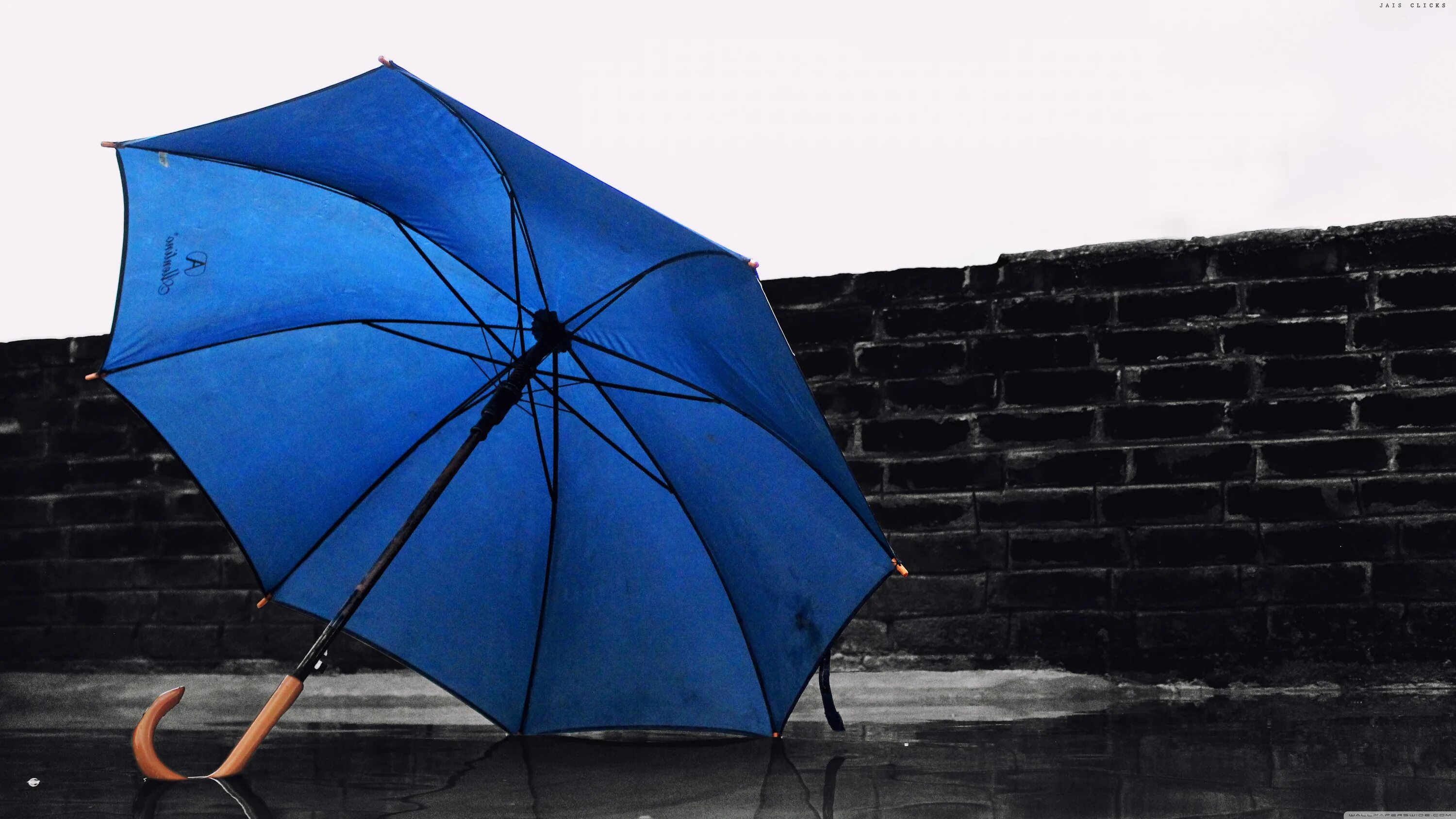 Зонтик. Зонт черный. Зонт синий. Красивые зонтики. Зонтик mp3