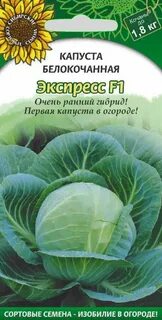 Капуста сорт победа