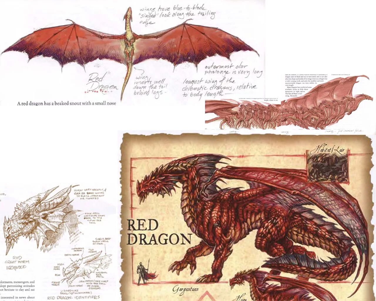 Книга попаданец в дракона. Мари Бреннан естественная история драконов. Тодд Локвуд драконы. Тодд Локвуд анатомия дракона. Исторический дракон.